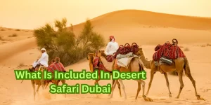 What Is Included In Desert Safari Dubai