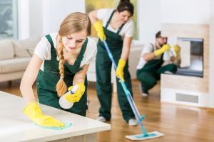 Buddy Cleaning & Maid Services