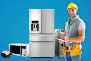 Professional Oven Repair Services in Dubai