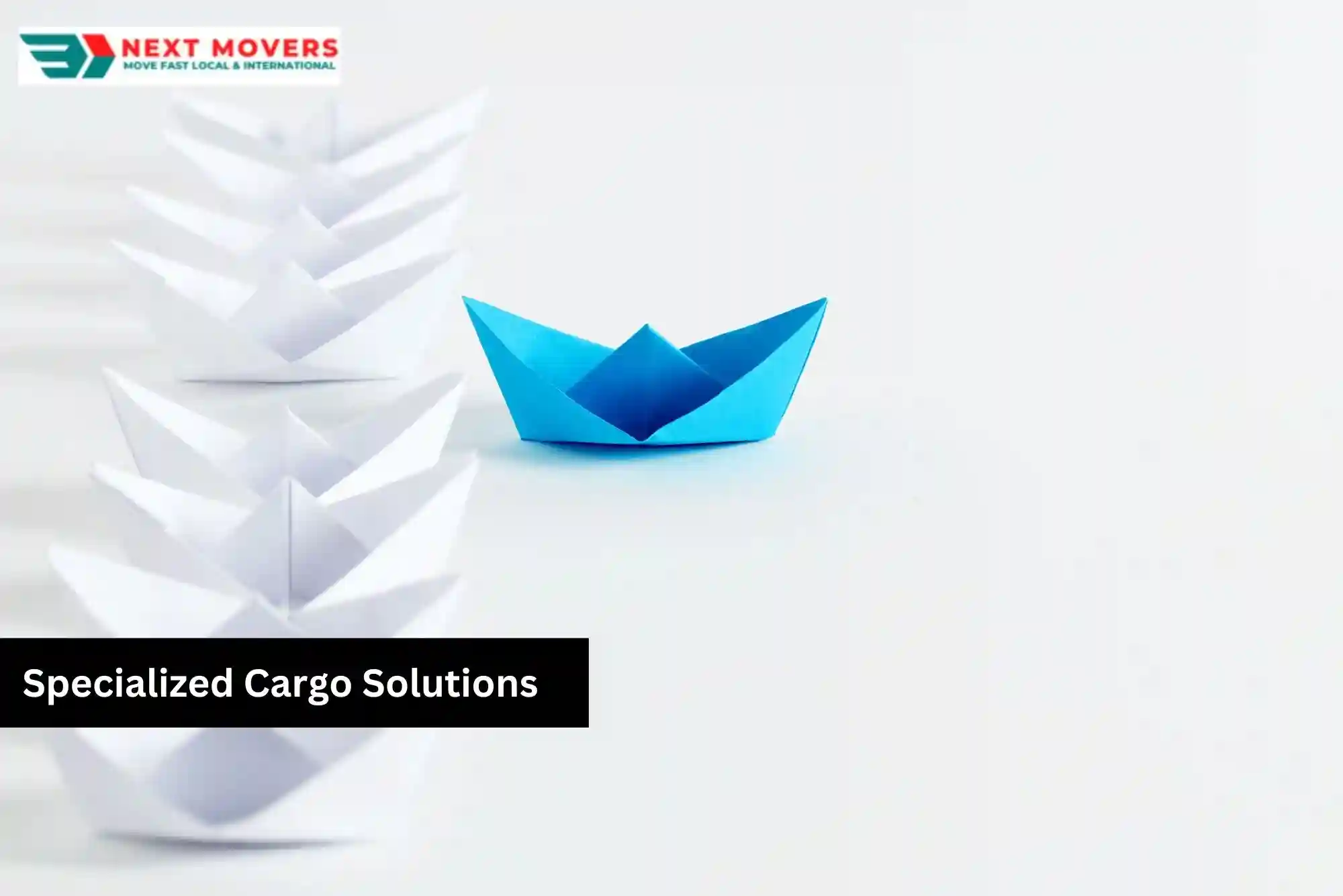 Specialized Cargo Solutions