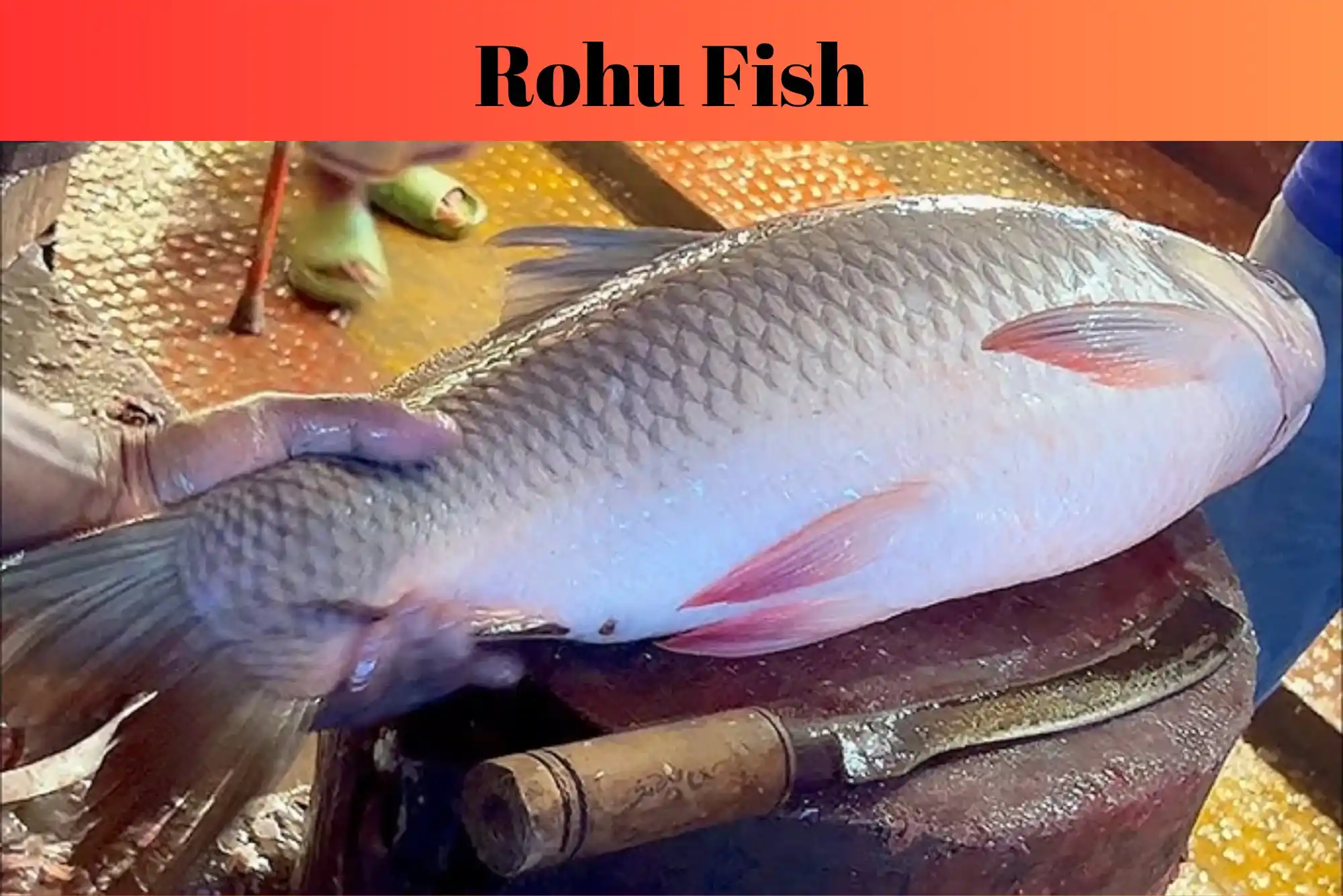 Advanced Techniques for Rohu Fish Filleting and Cooking