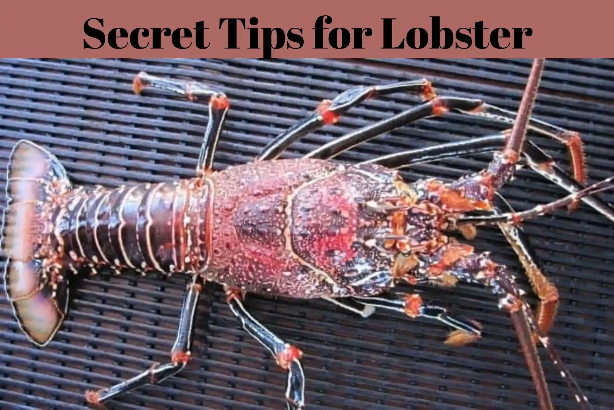 Essential Steps and Secret Tips for Lobster in Dubai Top Guide