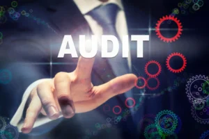 Ongoing Management System Audits
