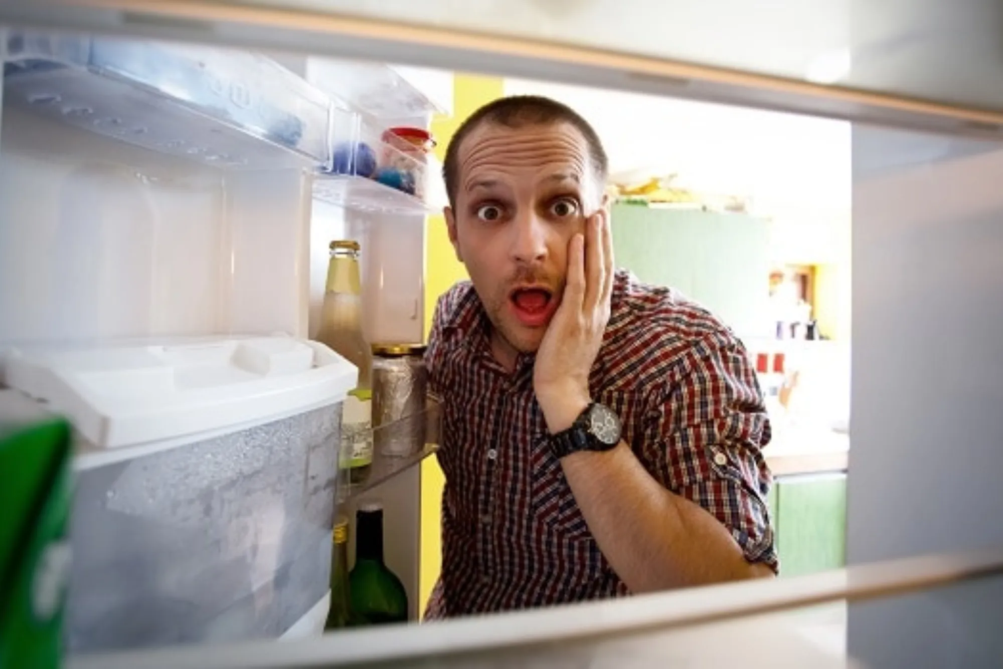 Why Refrigerator Ice Makers Fail