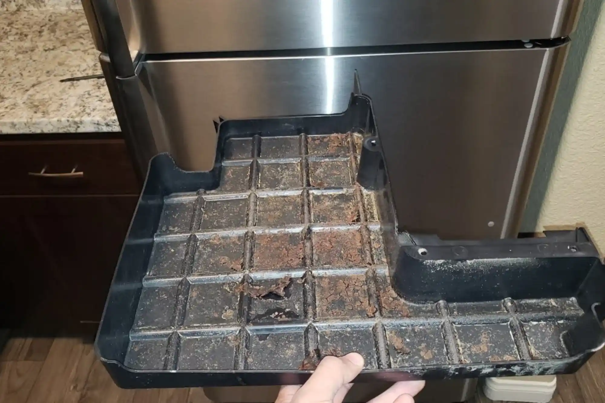 Why Refrigerator Smells Like Rotten Food Quickly