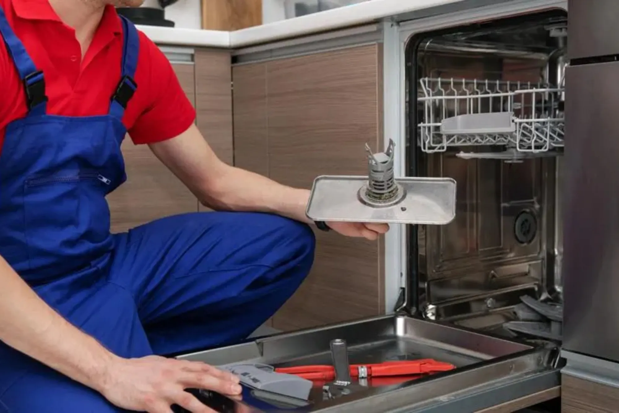 Professional Dishwasher Service Near Me